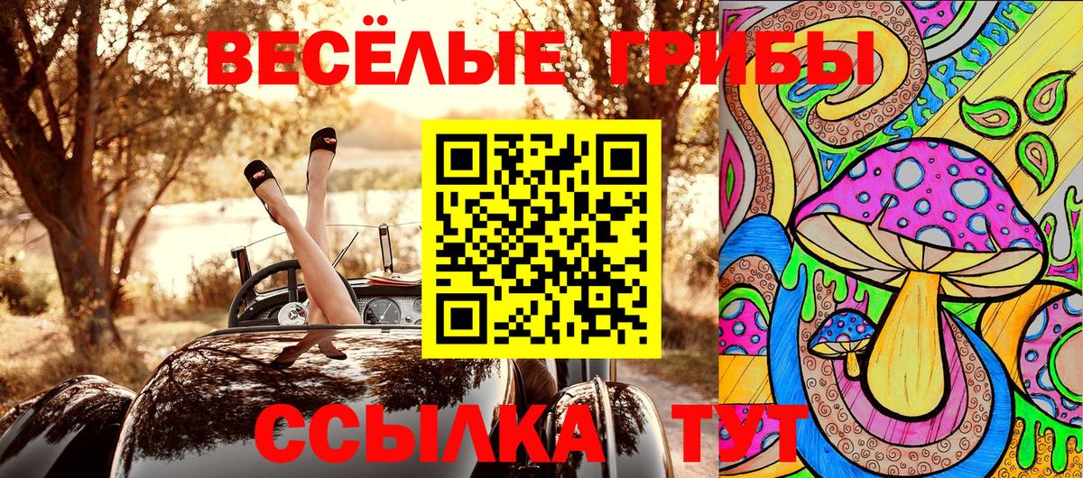 Галлюциногенные грибы прущие грибы Рыбинск