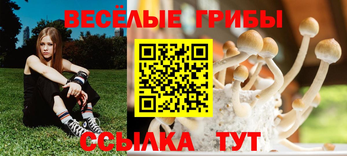 Псилоцибиновые грибы GOLDEN TEACHER  Вход с VPN  Рыбинск 